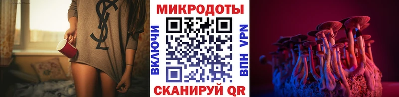 Галлюциногенные грибы GOLDEN TEACHER купить Новотитаровская