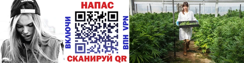 Бошки Шишки AK-47  Новотитаровская 